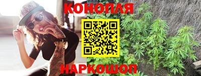 твердый Гатчина