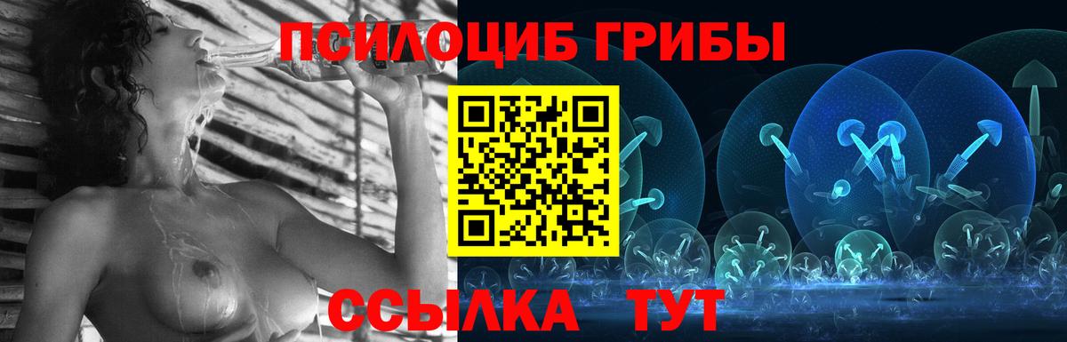 Галлюциногенные грибы Magic Shrooms Железногорск
