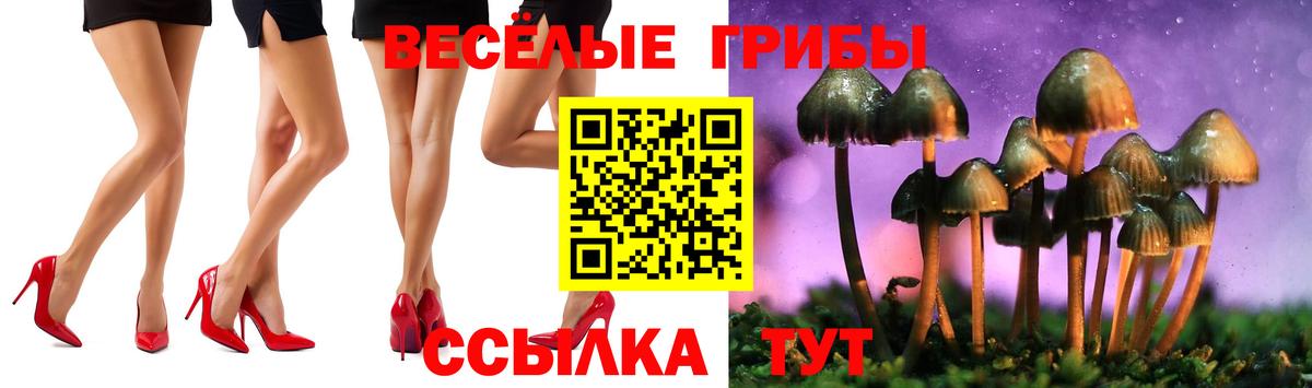 Галлюциногенные грибы прущие грибы  Галлюциногенные грибы Psilocybine cubensis  Железногорск  Вход с VPN 